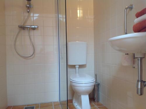 a bathroom with a toilet and a sink at Beeldend Buiten in Wichmond