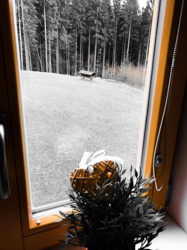 a window with a christmas tree sitting in front of a park at Chalet6harrachov se saunou in Harrachov