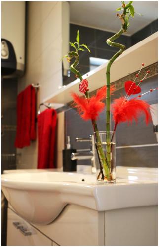 Apartman LORETTA photo 3
