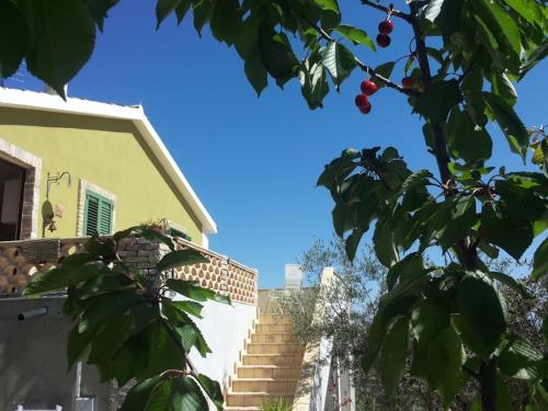 Jardín al aire libre en Casale Vittoria Atri