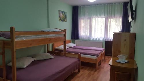 Ένα ή περισσότερα κρεβάτια σε δωμάτιο στο Pensiunea Aurora -Hostel Voineasa
