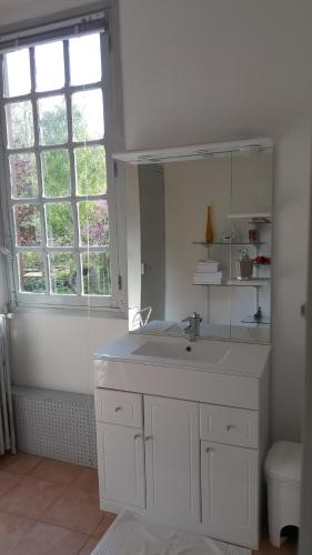 W białej łazience znajduje się umywalka i lustro. w obiekcie Le Manoir du coeur volant B&B w mieście Saint-Aignan