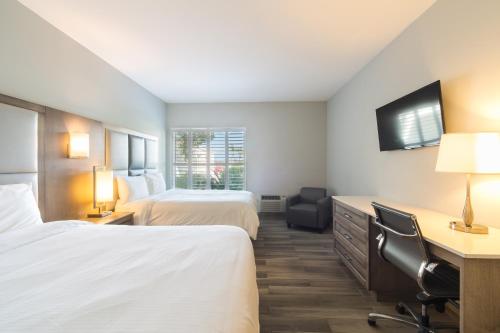 a hotel room with two beds and a desk at Hotel La Vista Azul in Turtle Cove