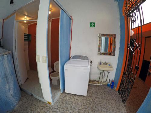 Φωτογραφία από το άλμπουμ του Iguana Hostel Oaxaca σε Oaxaca City