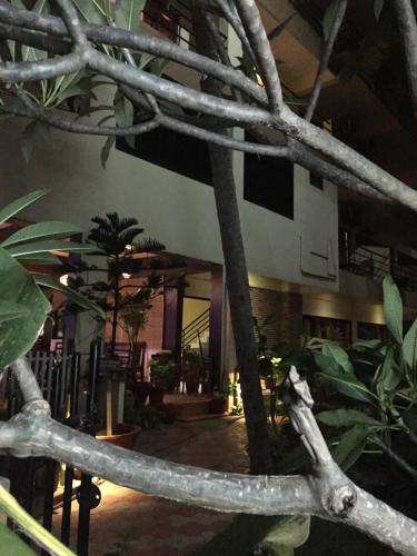 a tree branch in front of a building at The Ocean Park Beach Resort in Kovalam