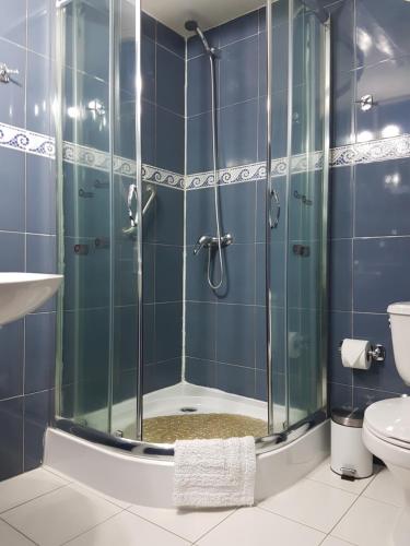 Ένα μπάνιο στο Hostal Pehuenche
