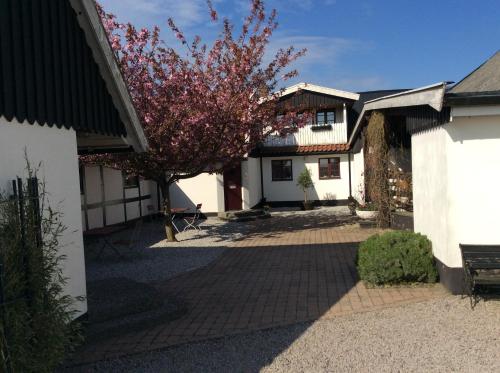 a house with a tree in the courtyard at Landet Bed and Breakfast in Tomelilla