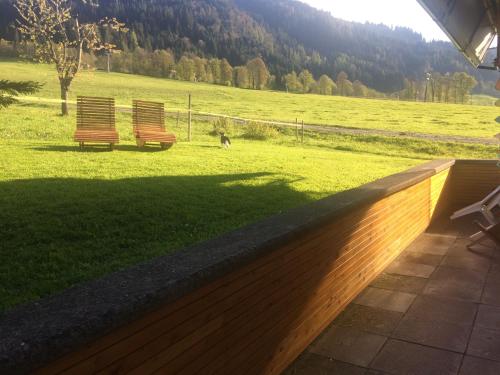two benches in a field with a dog in the grass at Ferienwohnungen Marchanger in Niederau