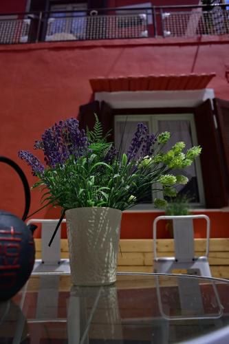 Balcone o terrazza di Villa Mariza 1920