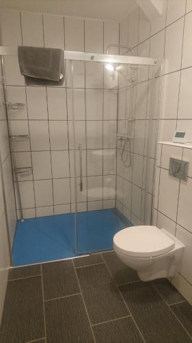uma casa de banho com uma cabina de duche em vidro e um WC. em Pension32 em Burg bei Magdeburg