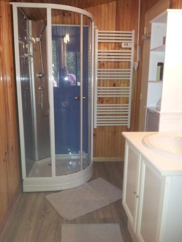 a bathroom with a shower and a sink at La Palombière, plage à 150m in Meschers-sur-Gironde