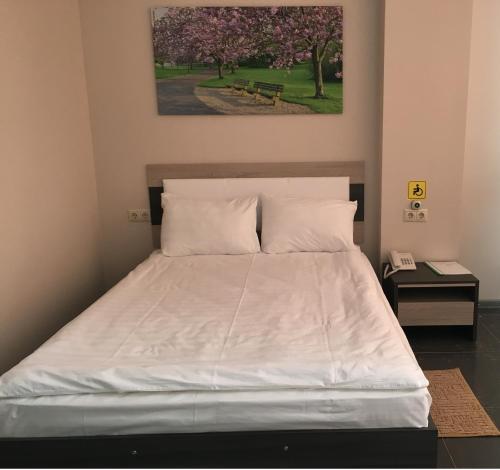 ナーベレジヌイェ・チェルヌイにあるHotel Amiraのベッドルーム1室(白いシーツと絵画付)