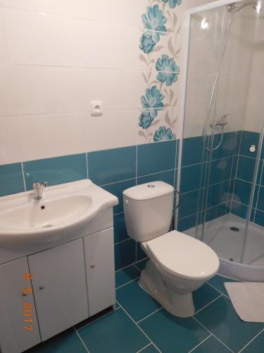 a bathroom with a toilet and a sink and a shower at Ubytováni v soukromí Na Podluží in Josefov