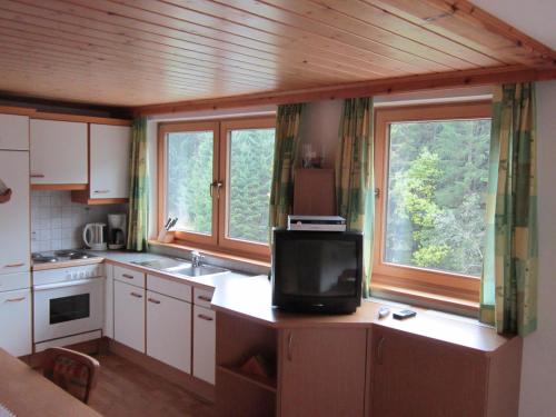 a kitchen with a tv on a counter with two windows at Kocherhof in Mariapfarr