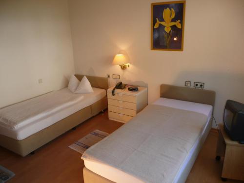 mały pokój z dwoma łóżkami i nocna przygoda w obiekcie Hotel Tannenhof w mieście Lauterbach