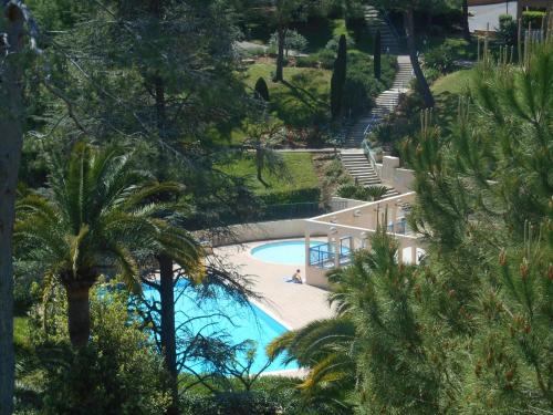 - une vue sur la piscine bordée de palmiers dans l'établissement Appartement Les Palmiers - Vacances Cote d'Azur, à Cannes