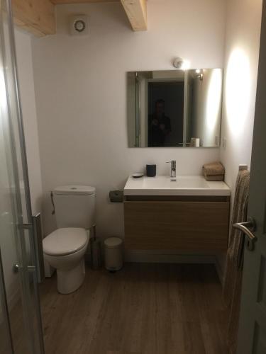 Un baño con inodoro, lavabo y espejo. en Gorges du Verdon charme, calme et authenticité, en Bargème
