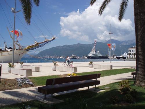 a person riding a bike next to a harbor with a ship at M Group studio in Tivat