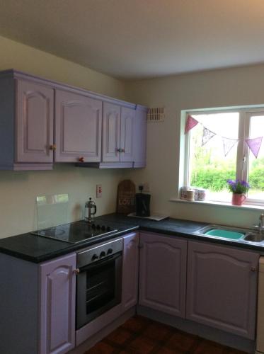 a kitchen with purple cabinets and a sink and a window at The Hen House in Carrick on Shannon