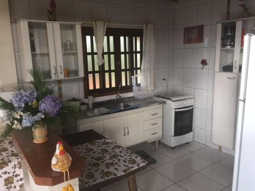 モンテ・ヴェルデにあるRefúgio dos Sonhos - Casa nas Montanhas - Monte Verdeのシンクとコンロのあるキッチン トップオーブン