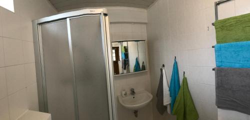 ein Bad mit einer Dusche und einem Waschbecken in der Unterkunft Ferienwohnung Haus in Gladenbach