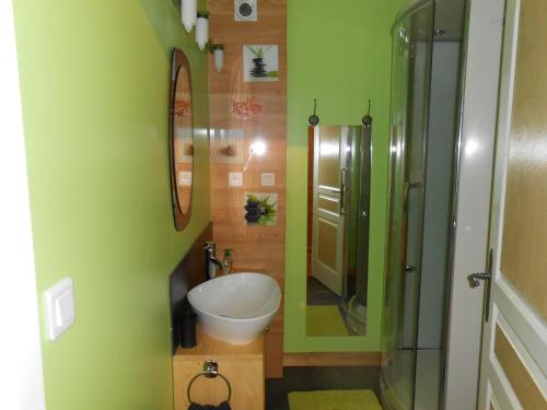 a green bathroom with a sink and a shower at Gite du Cret in Hotonnes