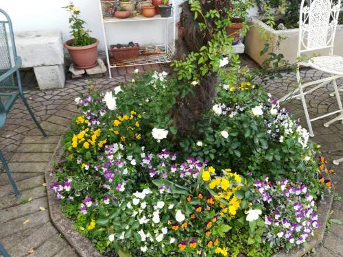 a flower bed around a tree in a garden at Albergo La Meridiana in Portogruaro