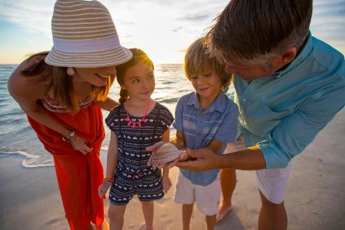 a family standing on the beach looking at a cell phone at Island Grand at TradeWinds in St Pete Beach