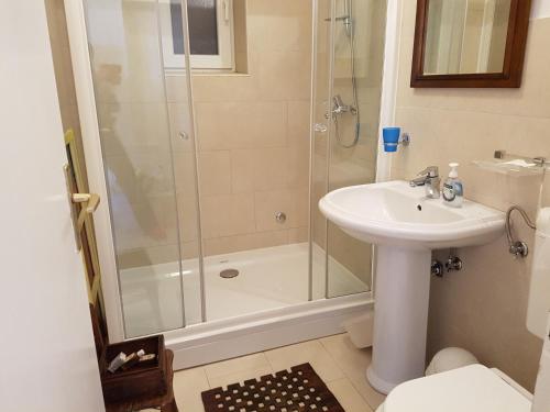 a bathroom with a shower and a sink at Apartman Gabrijela in Mali Lošinj