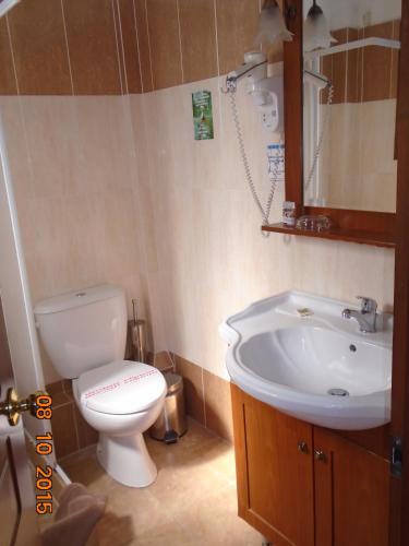 a bathroom with a white toilet and a sink at Hotel Aglaida Apartments in Tsagarada