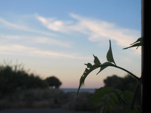 Φυσικό τοπίο κοντά σε αυτό το διαμέρισμα