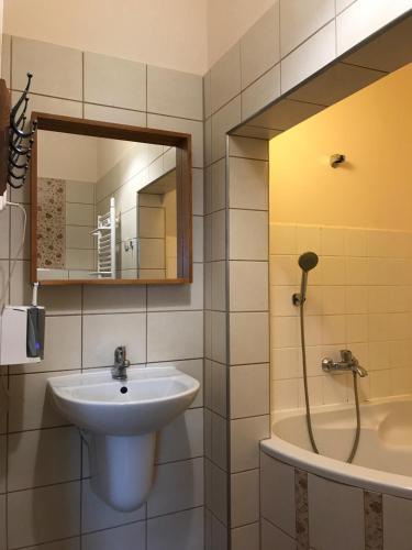 a bathroom with a sink and a shower and a mirror at Villa Hubertus in Srebrna Góra