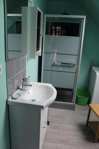 une salle de bain avec un lavabo blanc et une douche dans l'établissement La Grange Du Festel, à Oneux