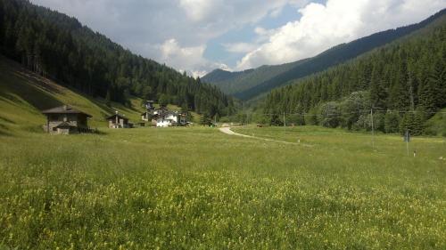 a field of green grass with a house and a road at Hotel Serenella in Canale San Bovo