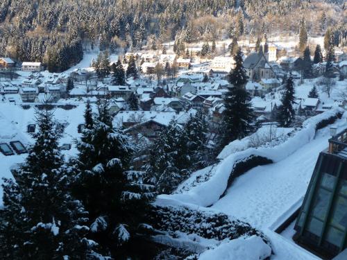 冬のHaus Dachsberg Todtmoosの様子