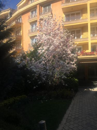 Dārzs pie naktsmītnes Alex Apartment Sofia