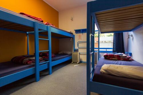 a room with two bunk beds in a room at Sequoia Lodge Backpackers in Picton