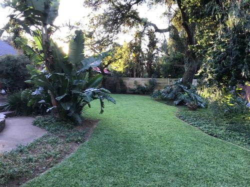 a yard with a green lawn with a tree at Aerotropolis Guest Lodge in Kempton Park