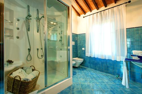 a blue tiled bathroom with a shower and a toilet at Il Giuncheto in Trequanda