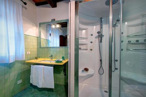 a bathroom with a shower and a sink at Il Giuncheto in Trequanda