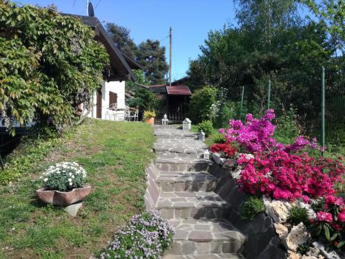 Il Colle Fiorito – Photos 5