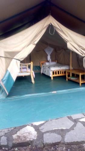 Kolam renang di atau dekat dengan Oasis Eco Camp
