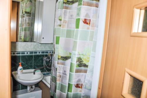 ヤロスラヴリにあるApartments on Turgenevaのバスルーム(シンク、シャワーカーテン付)