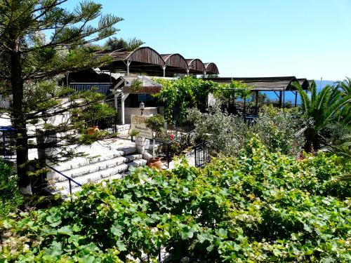 a garden in front of a house with plants at Hotel Golden Sun in Finikounta