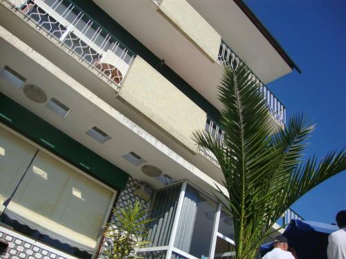 a palm tree in front of a building at Pensão São Jorge in Caldas de São Jorge