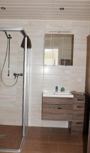 a bathroom with a sink and a mirror at Ferienwohnung Kopp II in Greiz