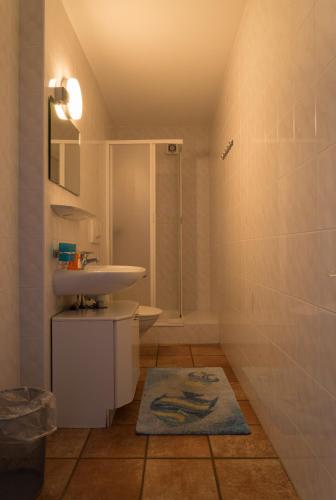 Imagen de la galería de Ostello & Camping Riposo, en Losone