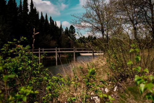 Gambar di galeri bagi Rheezerstee di Rheeze