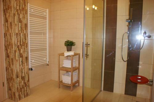 Koupelna v ubytování Buxusson Resort