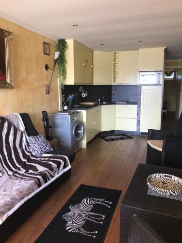un salon avec un canapé et une cuisine dans l'établissement Luxe appartement Village Naturiste Zébra, au Cap d'Agde